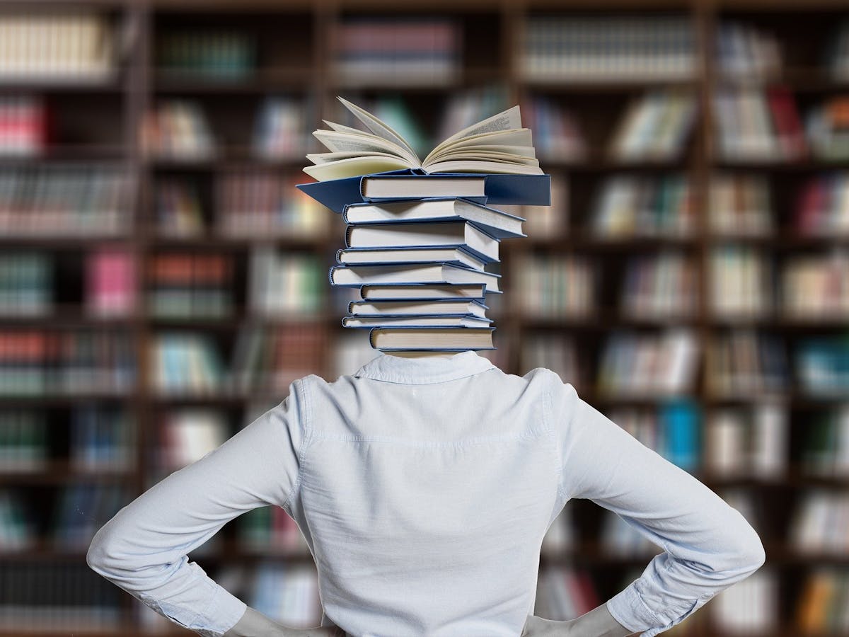 Master Doctorat Le Plagiat Progresse T Il A L Universite