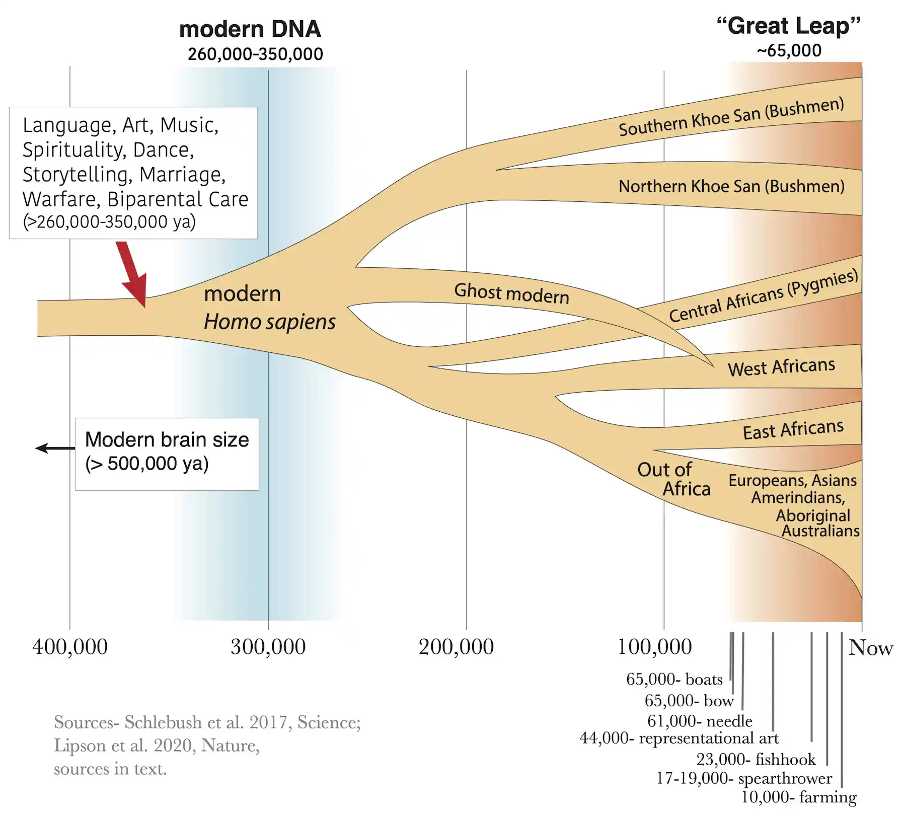 When Did We Become Fully Human What Fossils And DNA Tell Us About The when-did-we-become-fully-human-what-fossils-and-dna-tell-us-about-the