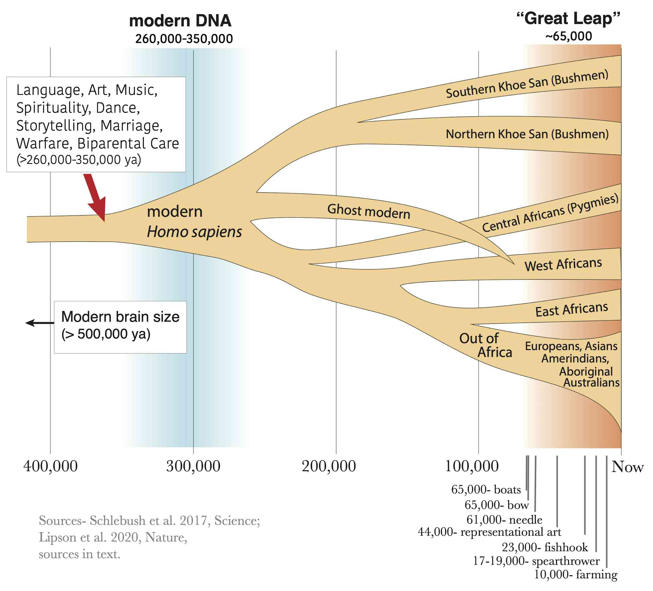 When Did We Become Fully Human? What Fossils and DNA Tell Us About the ...