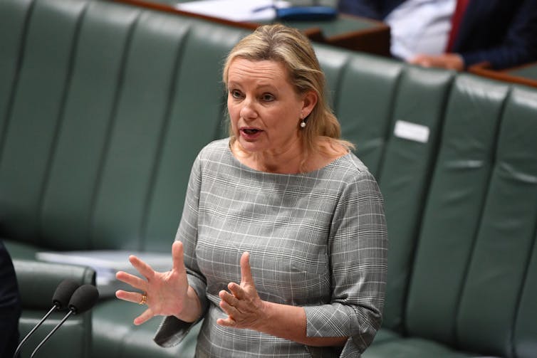 MP Sussan Ley speaks in parliament house.