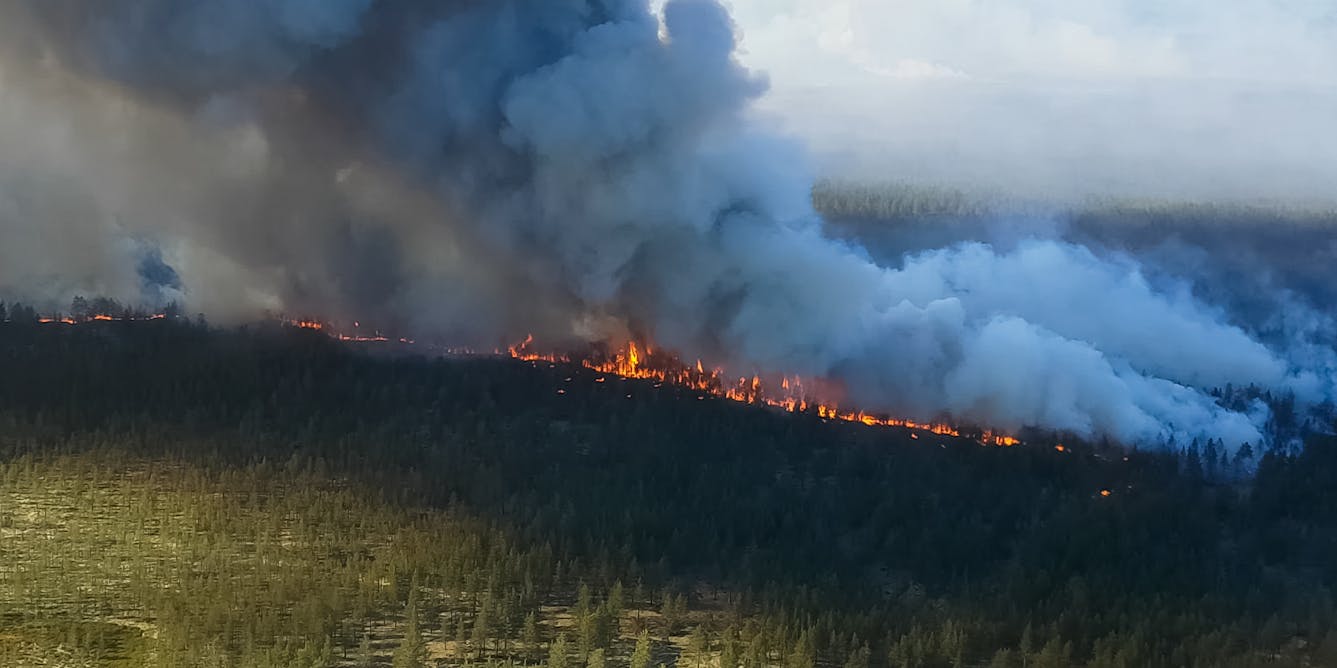 Fire on Ice: Arctic wildfires are the new symptom of a warming