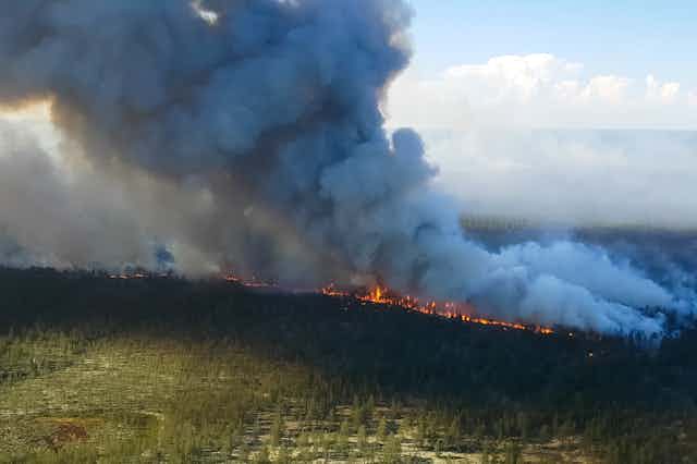 A line of wildfire burns through forest while smoke billows into the sky.
