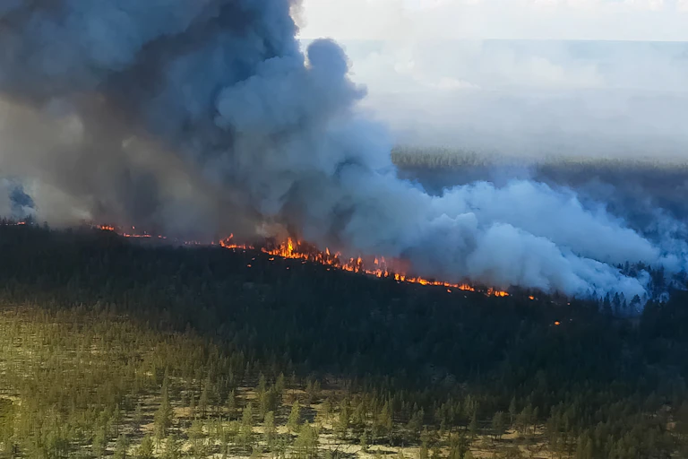 A line of wildfire burns through forest while smoke billows into the sky.