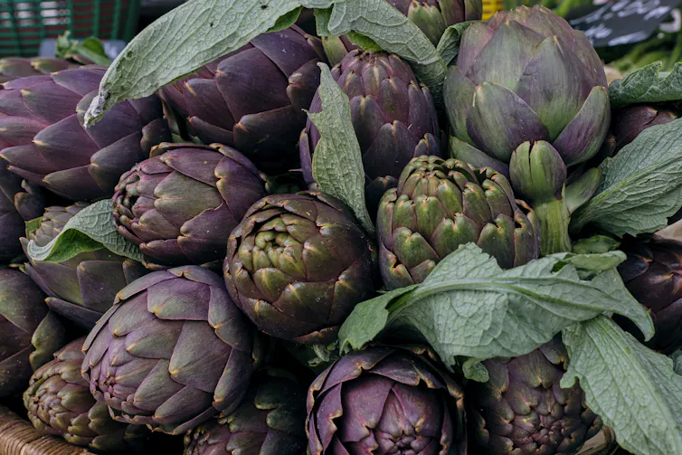A pile of fresh raw artichokes.