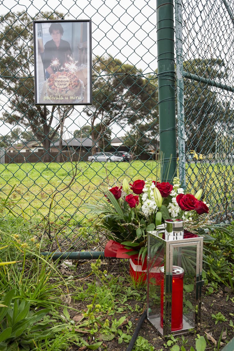 A photograph on a fence, above red and white roses.