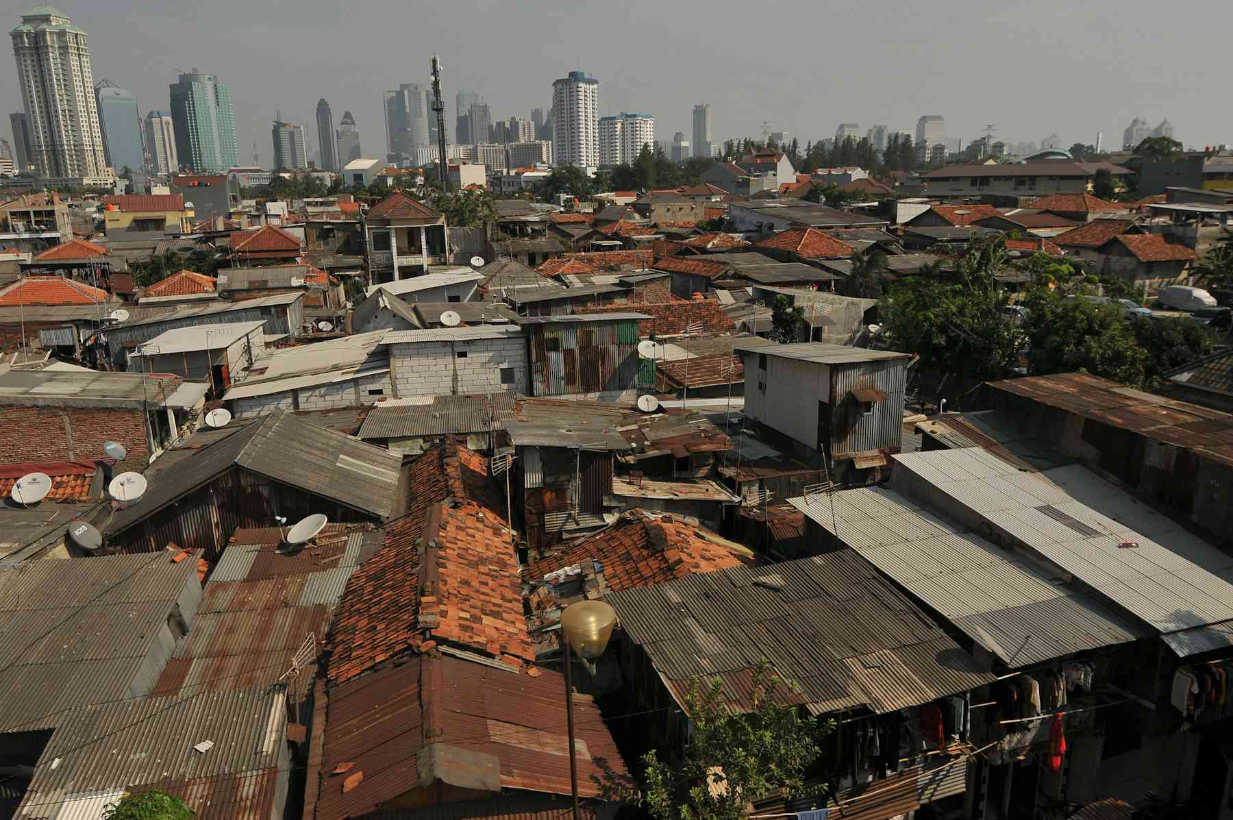 Ini pentingnya Ruang Terbuka Hijau bagi masyarakat perkotaan saat pandemi