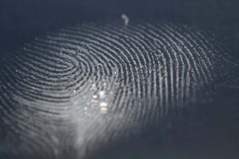 Close up of a finger print