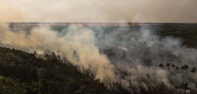 Large fire burns on a hill with dense forest.