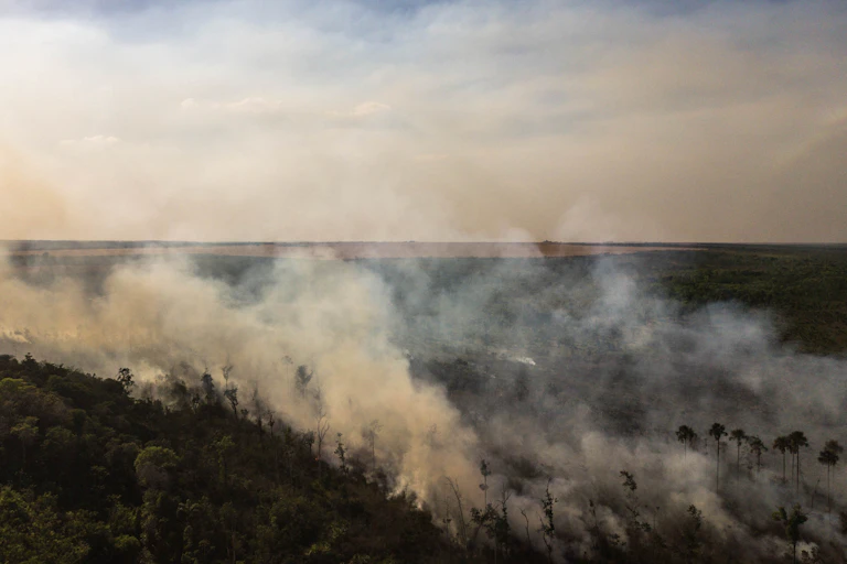 Large fire burns on a hill with dense forest.
