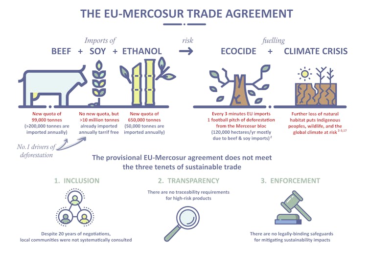 Infographic showing various problems with the EU-Mercosur trade deal