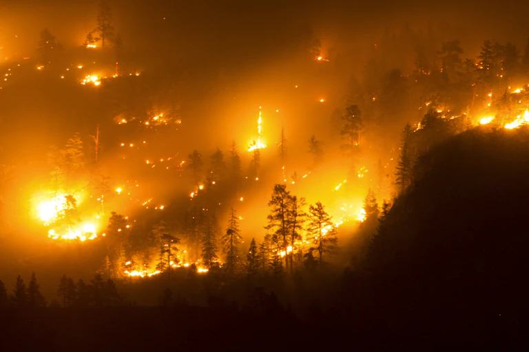 Flames burn up a mountain slope at night.
