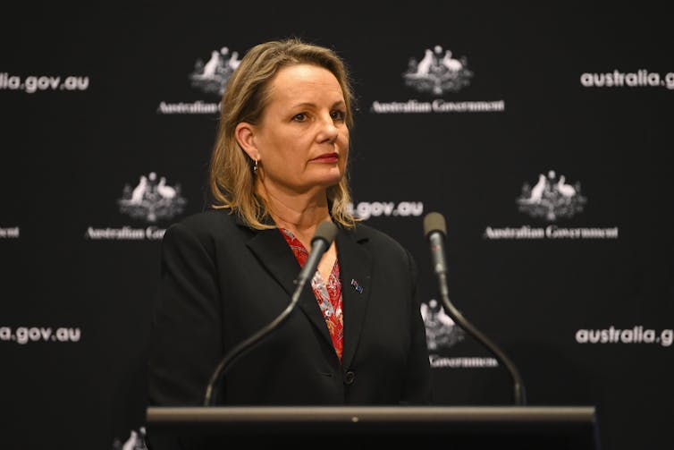 Environment Minister Sussan Ley behind a podium