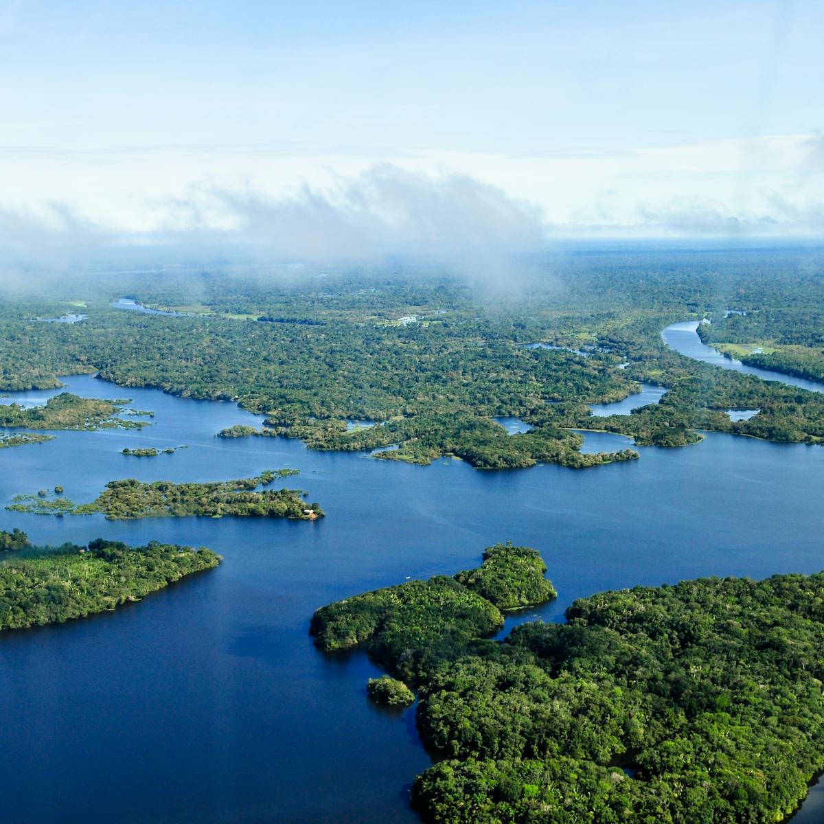 In The Amazon Forest Degradation Is Outpacing Full Deforestation In The Amazon Forest Degradation Is Outpacing Full Deforestation