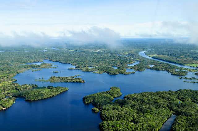 Aerial view of the Amazon river and surrounding rainforest