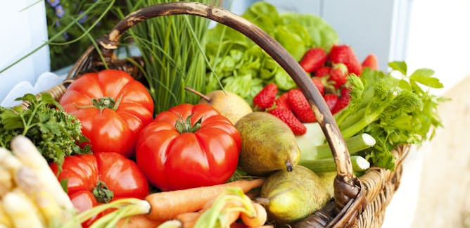 Junk Food News Research And Analysis The Conversation Page 1