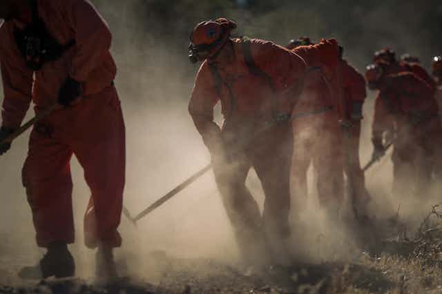 Prison laborers in orange jumpsuits clear vegetation