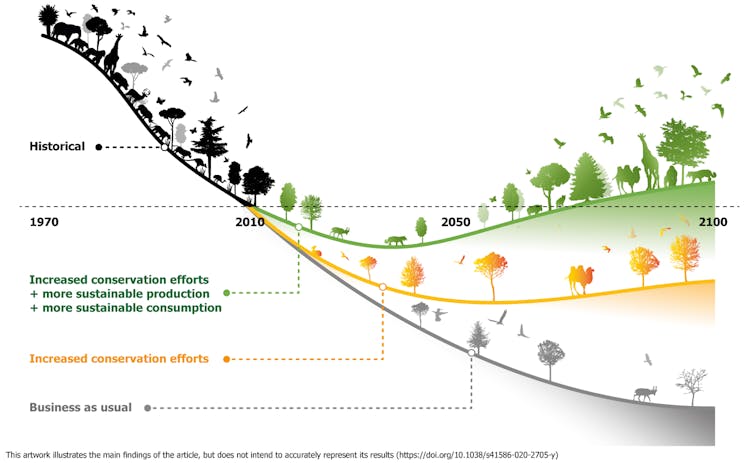 A downward sloping line showing wildlife declines splits into three alternative trajectories, where biodiversity increases, plateaus and crashes by 2050.