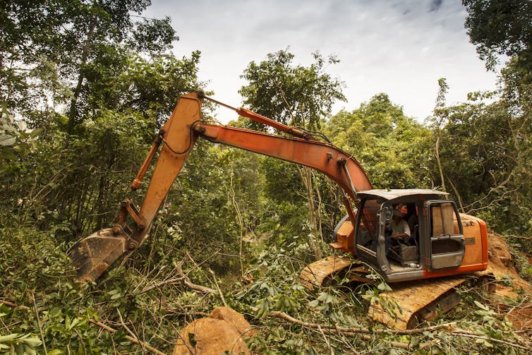 A digger tears down trees in a Malaysian rainforest.