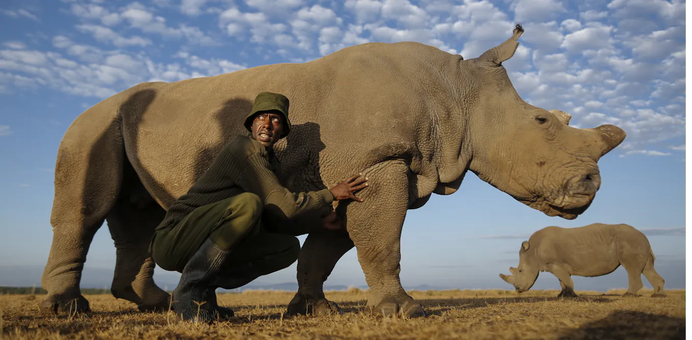 The Invisible Extinction ‘Extinction: The Facts’: Attenborough’s new documentary is surprisingly ...