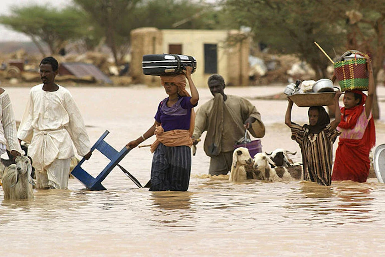 People carrying belongings on their heads and leading goats walk through flooded area