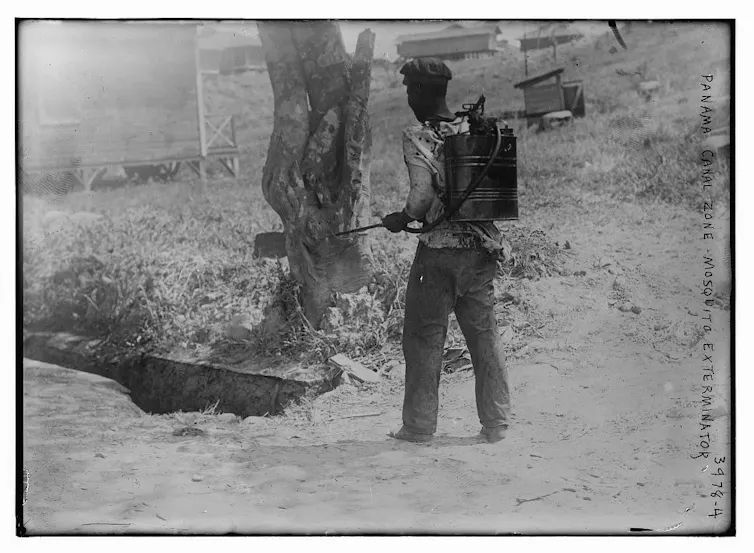 Man spraying grass by a tree for mosquitoes.