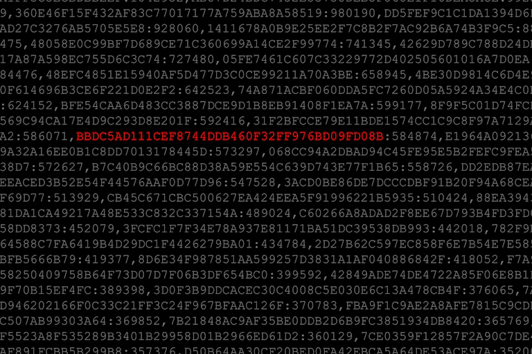 Repeated password hashes with one red hash value highlighted.