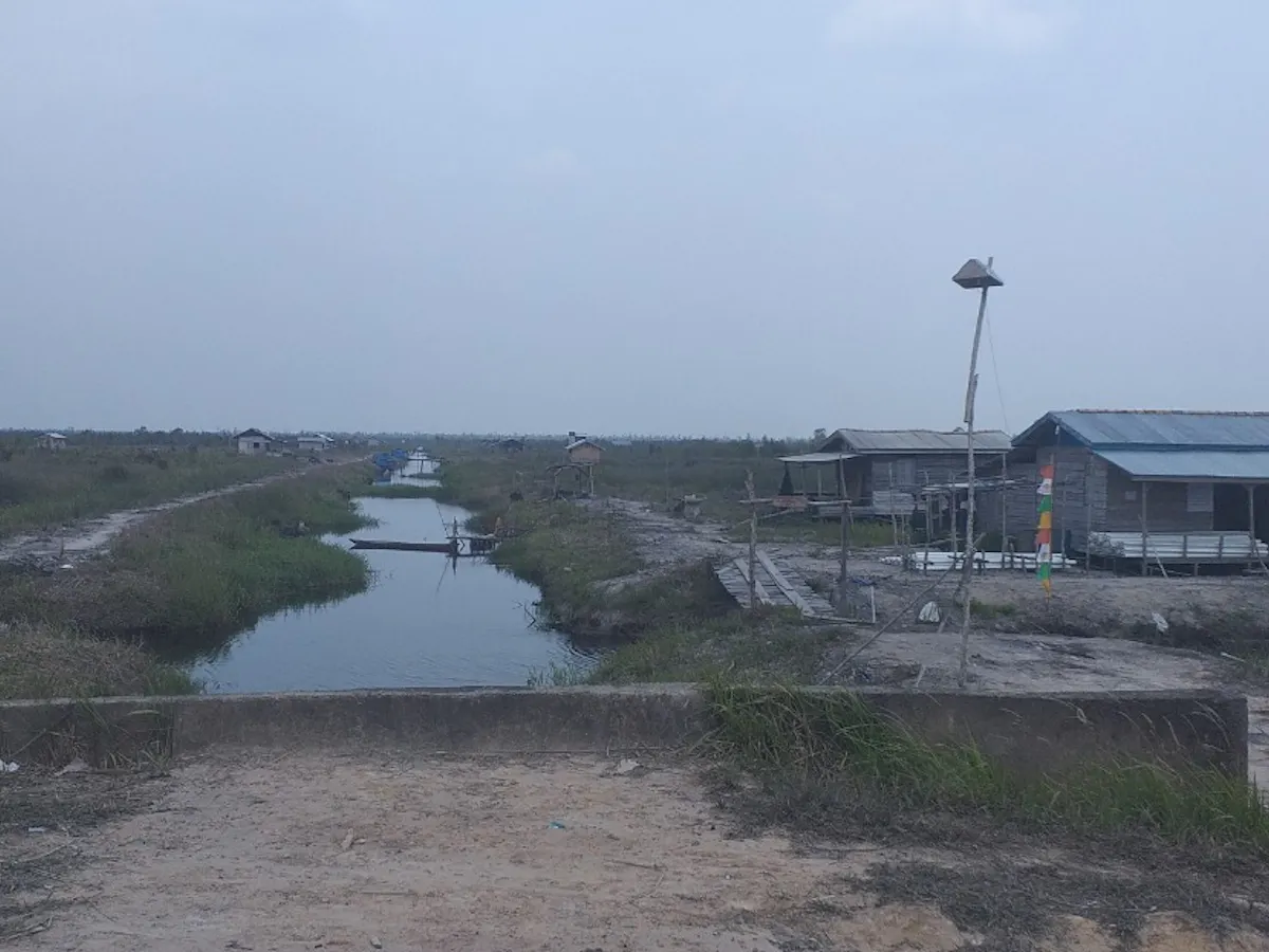 Riset Tunjukkan Cara Baru Penyelamatan Lahan Gambut Yang Bisa Menguntungkan Masyarakat Sekaligus Mencegah Kebakaran Hutan
