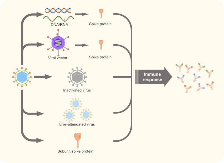 the pros and cons of different COVID vaccine technologies