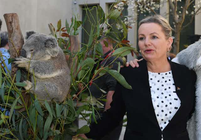 Sussan Ley stands beside a koala 