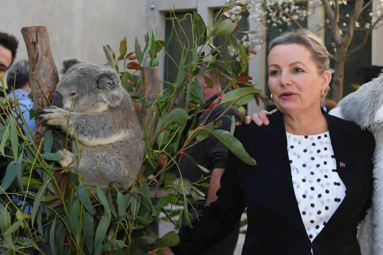 Sussan Ley stands beside a koala