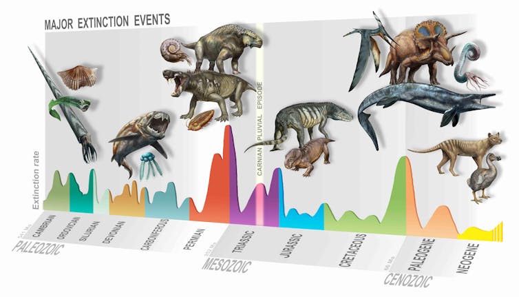 Timeline illustration of mass extinction events