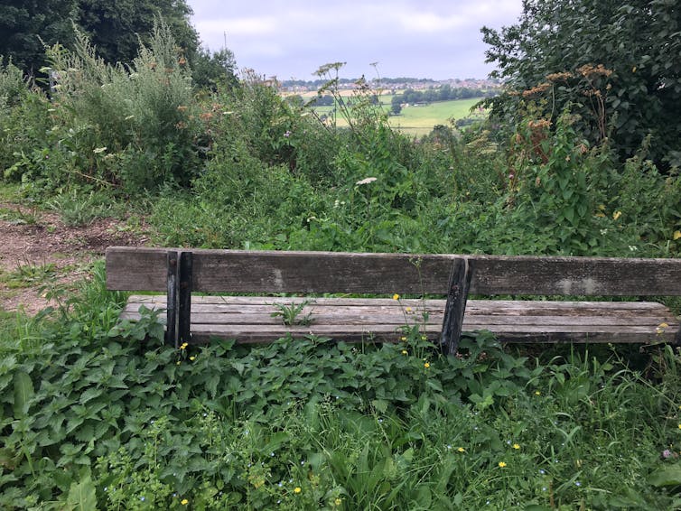 Overgrown park bench