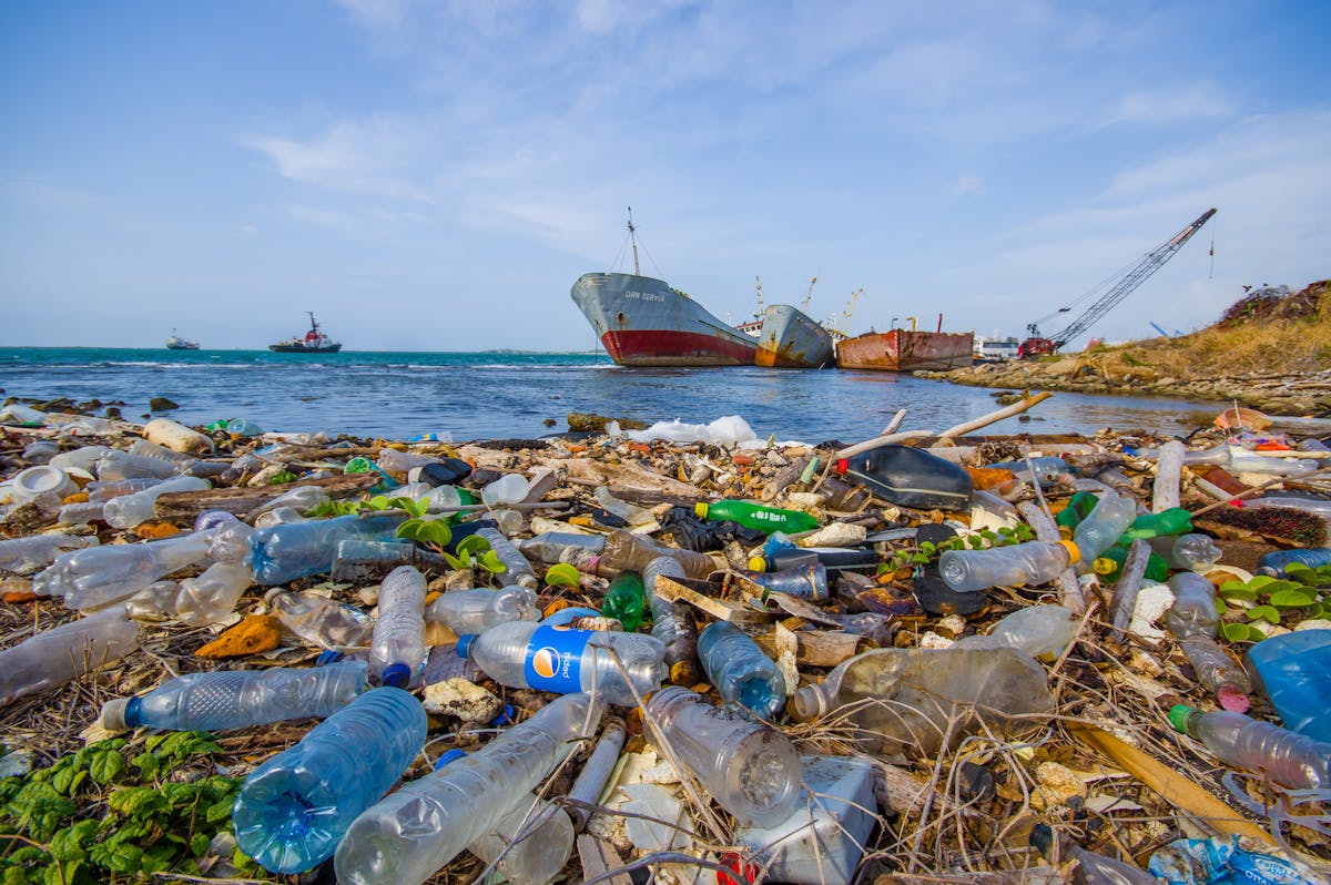 perspectief kleinhandel Negen The ocean is swimming in plastic and it's getting worse – we need connected  global policies now