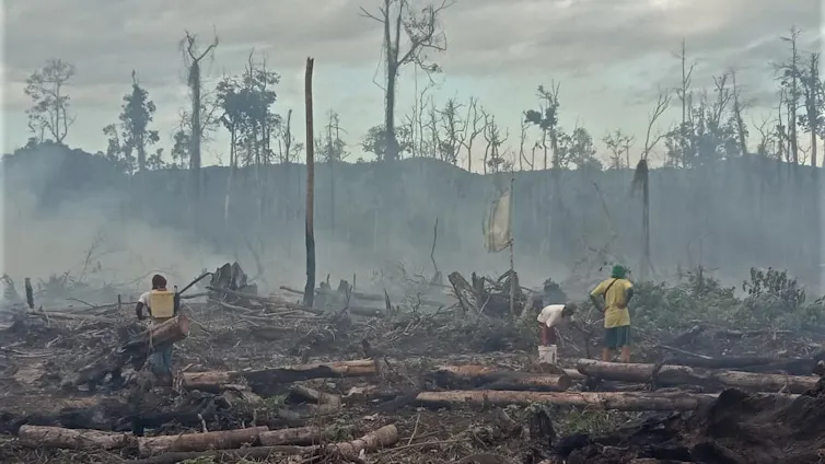 Dua orang laki-laki berdiri di atas lahan terbakar dan berasap.