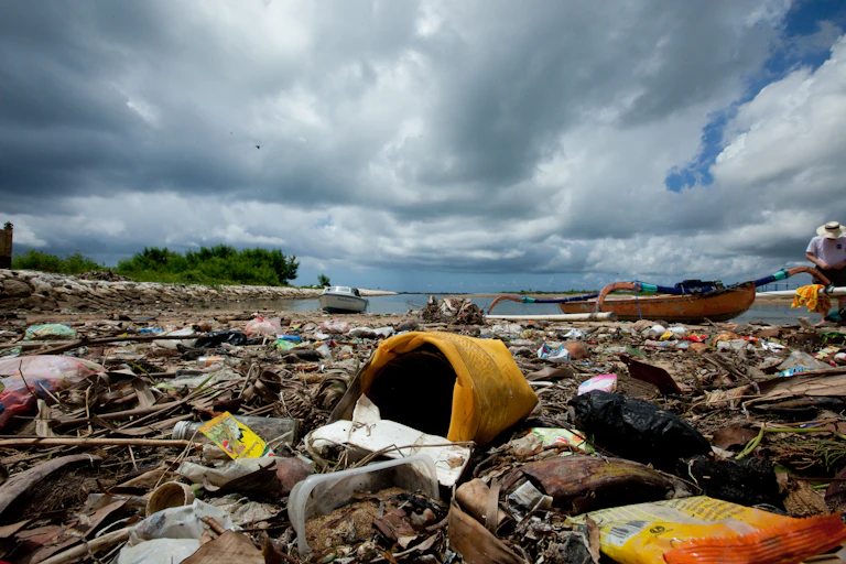 Plastic containers, wrappers and bags washed up on a beach