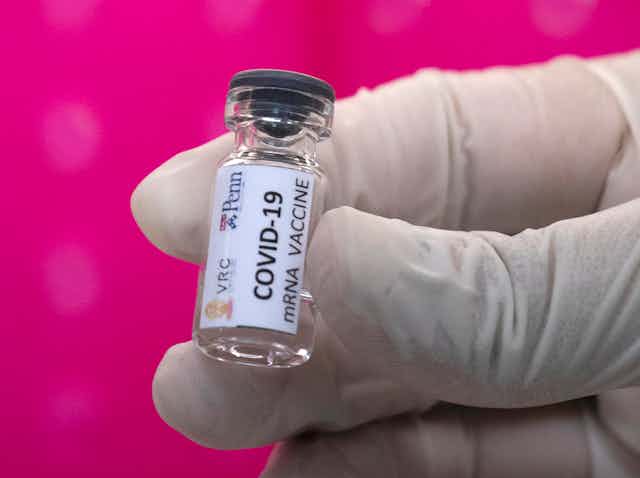 Close-up of gloved fingertips holding a small clear vial labelled "COVID-19 mRNA VACCINE" against a bright pink background