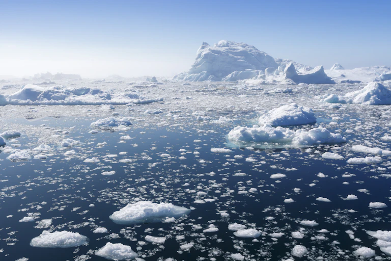 An ice covered ocean
