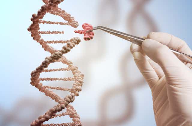 Gene editing illustration using DNA helix.