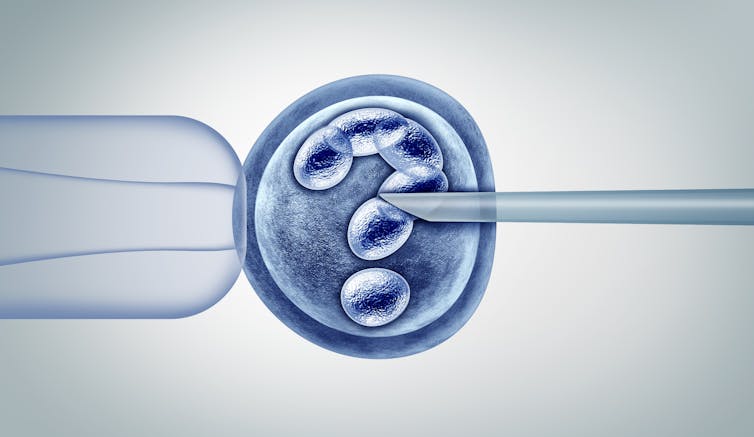 Embryo modification illustration