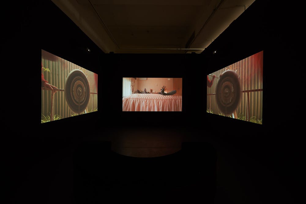 Vibrancy Experimentation And Risk In Ace Open S Survey Of South Australian Art