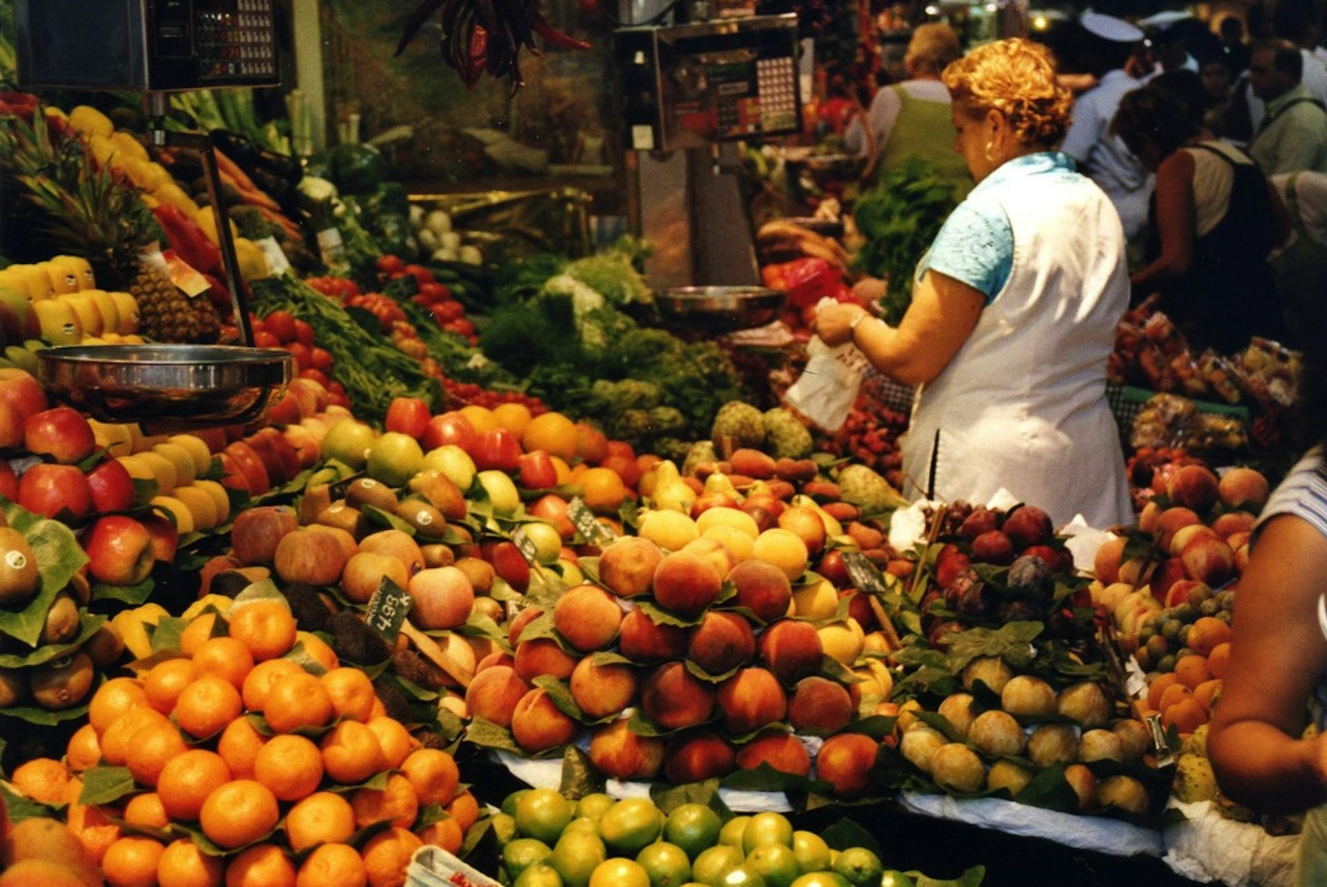 A vegan diet can be as safe for pregnancy as any other