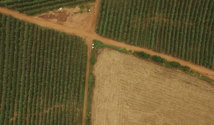 Tilled fields