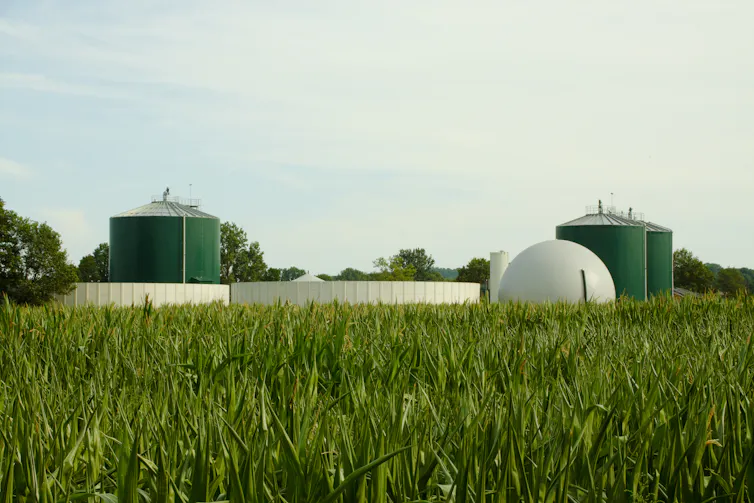 A bioenergy facility