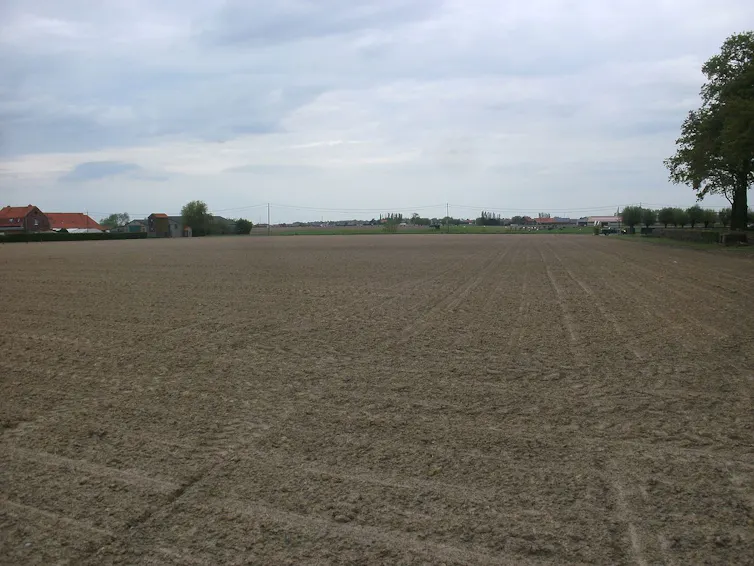 Campo labrado con granjas y árboles al fondo.