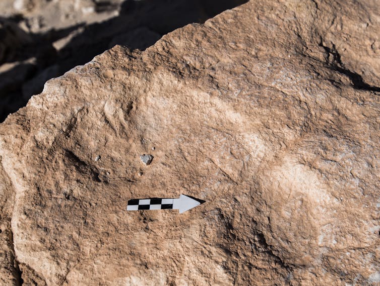 Faint footprint in yellow rock.