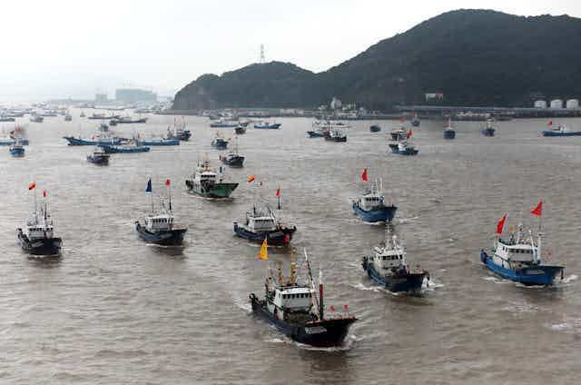 Dozens of commercial fishing boats flying the Chinese flag head out to sea