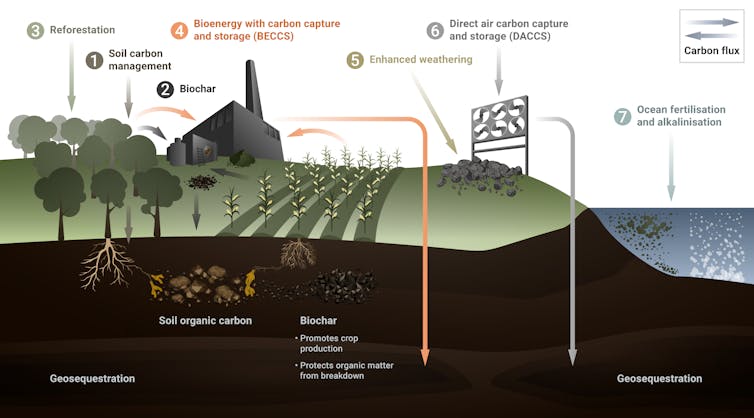 Graphic showing seven negative emissions technologies.