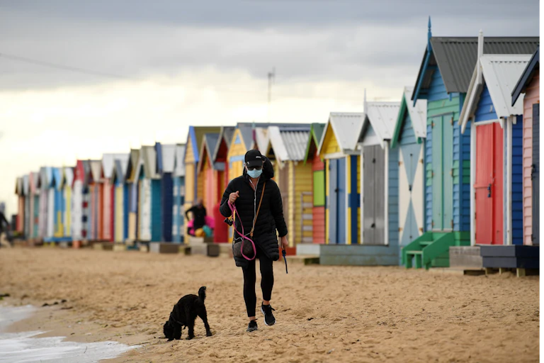 A person walking their dog on the beach wearing a mask
