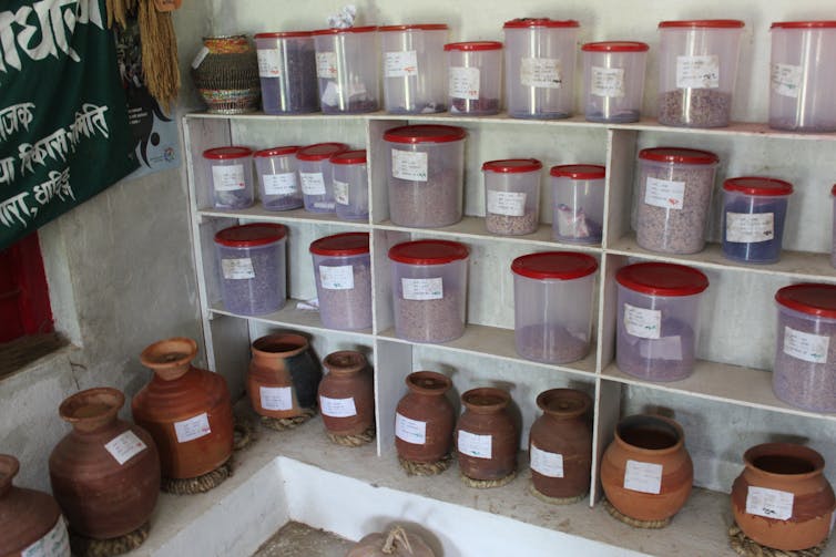 Advantage Of Storing Seeds In Seed Banks : Low Oxygen Seed Storage Wur Advantage Of Storing Seeds In Seed Banks : Low Oxygen Seed Storage Wur
