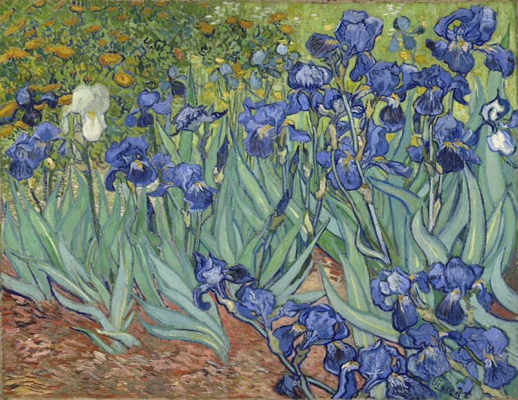 What does an 'unforgettable, multi-sensory experience' have to do with Vincent van Gogh?
